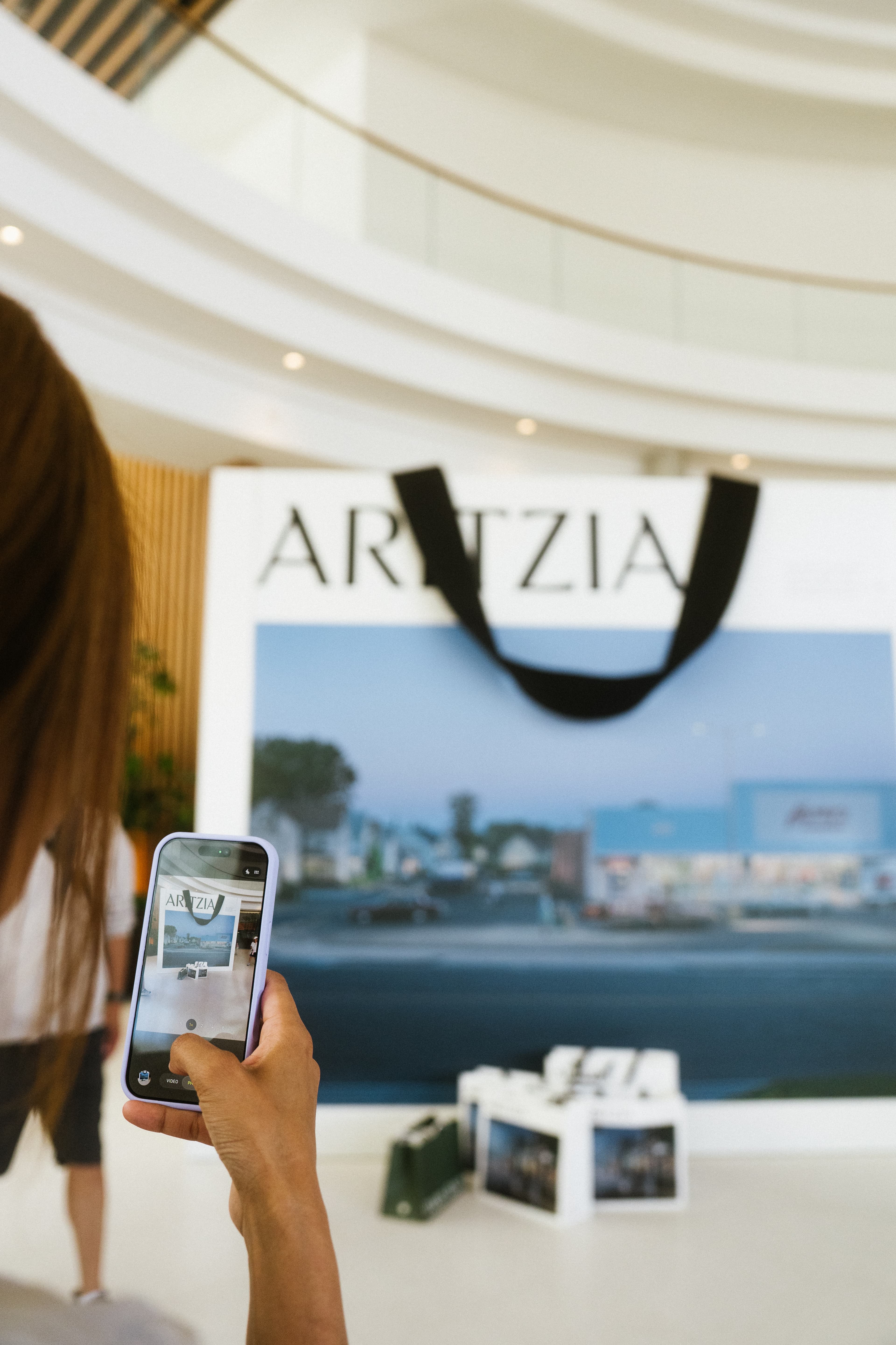 aritzia bag