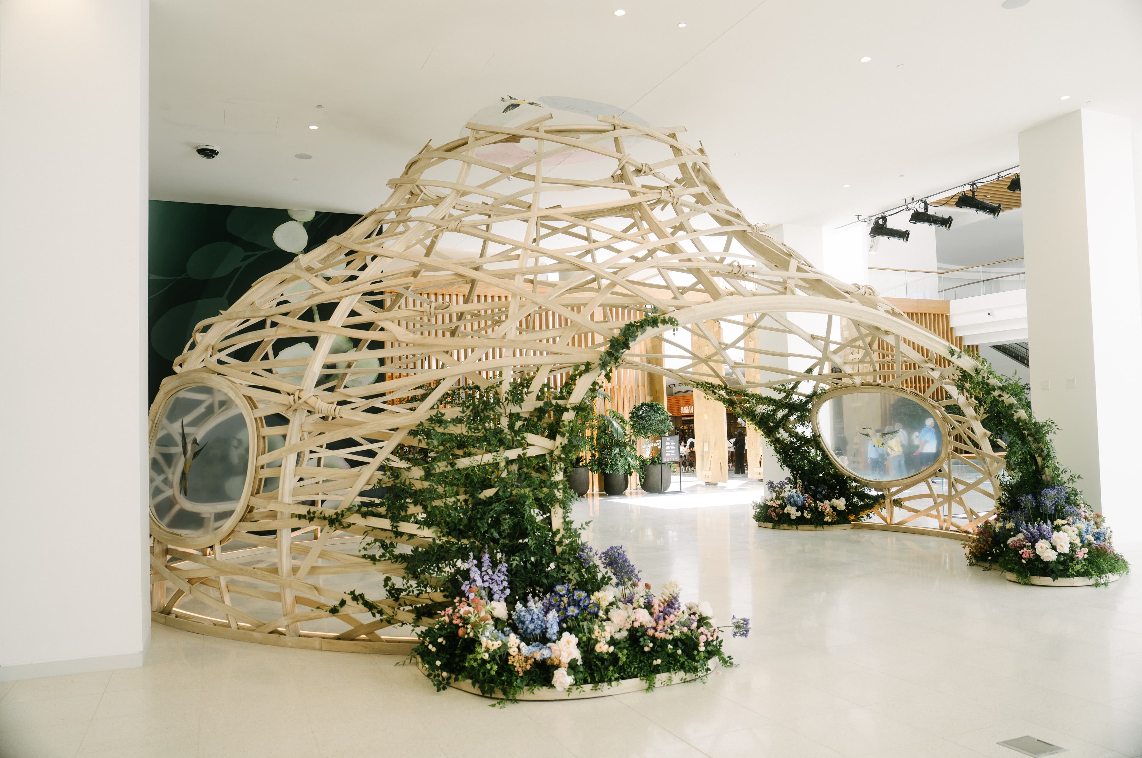 the nest