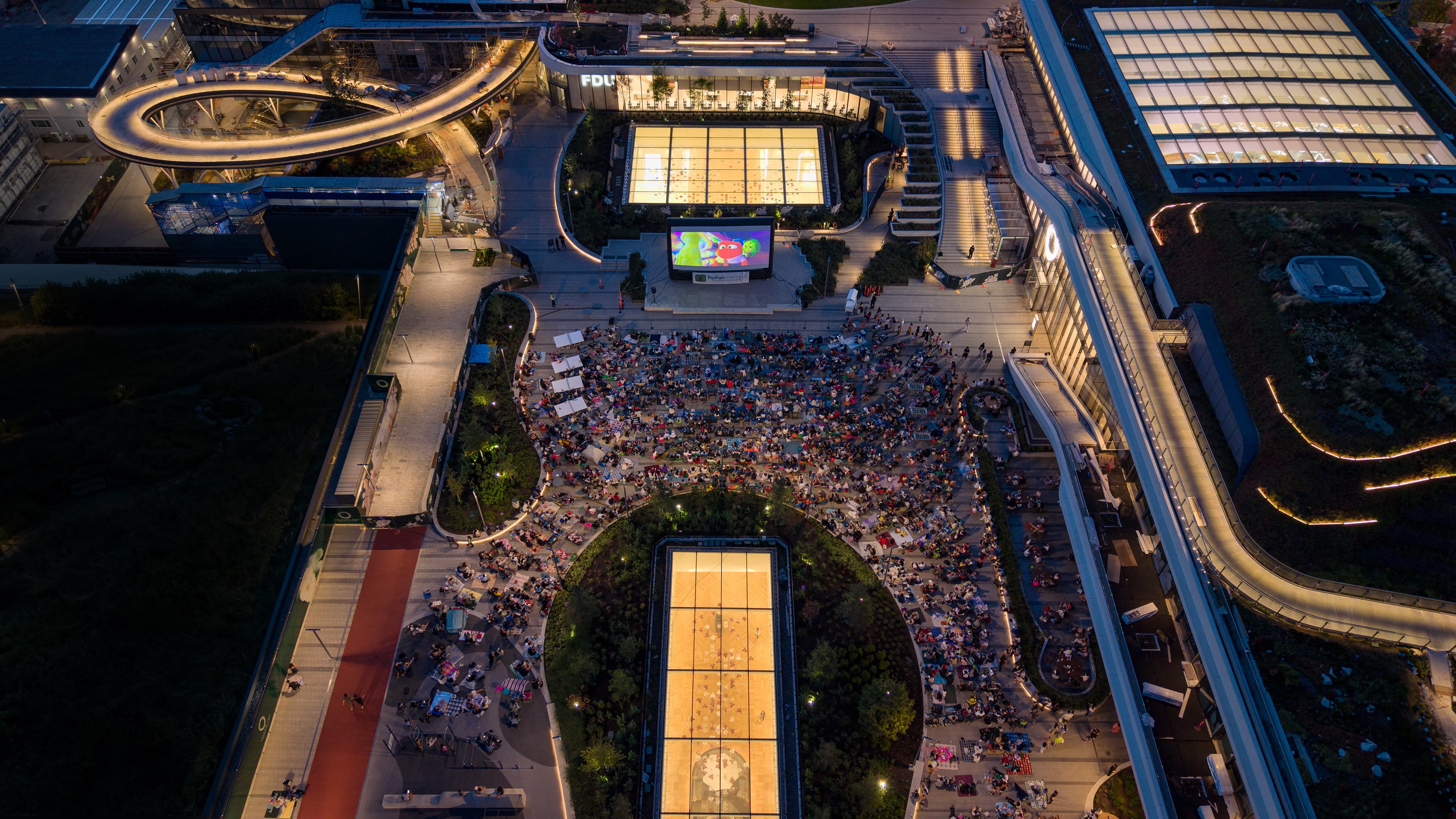 Cinema in the Park